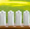 Four milk cartons lined up on a bench with green grass background