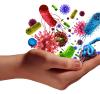 human hand holding microscopic cancer virus and bacteria cells as a metaphor for pathogen illness